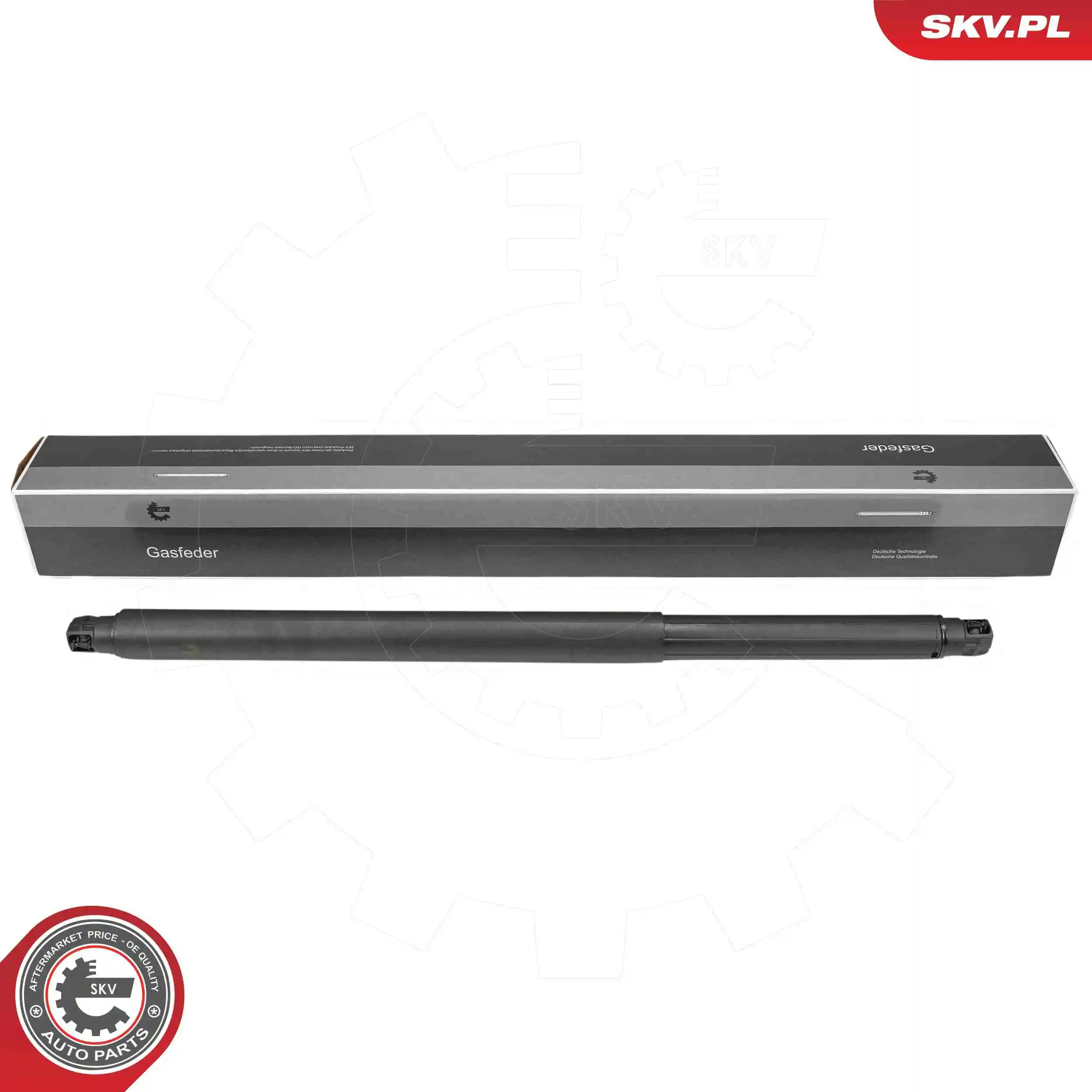 Gas Spring, boot/cargo area